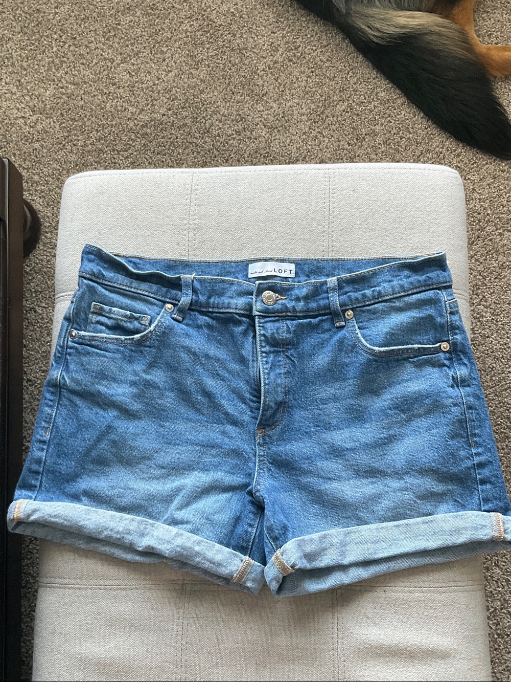 LOFT Light Blue Rolled-Hem Denim Shorts Size 8
